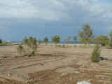 2004.05.19-MikrPoli-005.JPG (86839 Byte)