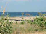 2004.05.19-MikrPoli-011.JPG (113560 Byte)