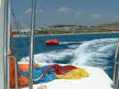 2004.06.04-WSMable-002.JPG (97254 Byte)