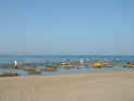 2004.10.30-StrandNi-001.JPG (54795 Byte)