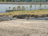 2005.05.09-strand-005.JPG (148736 Byte)