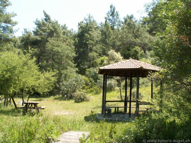 2006.05.16-krioneri-010.jpg