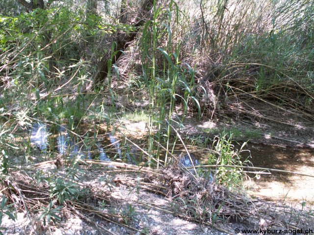 2006.05.16-krioneri-012.jpg