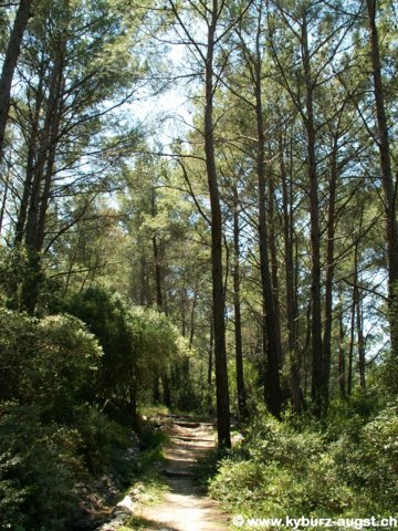 2006.05.16-krioneri-014.jpg