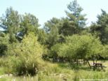 2006.05.16-krioneri-009.jpg