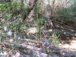 2006.05.16-krioneri-012.jpg