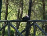 2006.05.16-krioneri-017.jpg