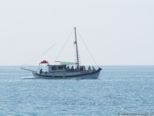 2006.05.19-monachus-002.jpg