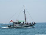 2006.05.22-monachus-003.jpg