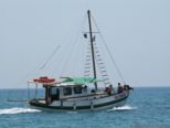 2006.05.22-monachus-004.jpg