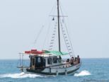 2006.05.22-monachus-005.jpg