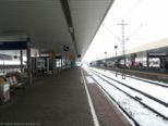 2006.03.08-varvara-003.jpg