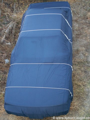 2006.06.17-toyota-002.jpg