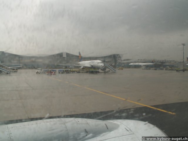 2006.11.04-rueck-112.jpg