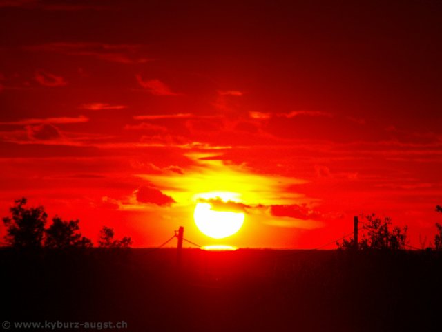 2006.11.04-sonnenau-023.jpg