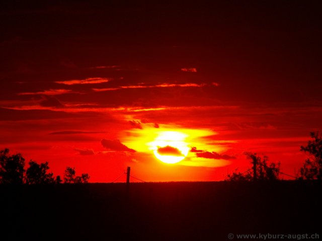2006.11.04-sonnenau-028.jpg