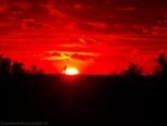 2006.11.04-sonnenau-004.jpg