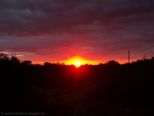 2006.11.04-sonnenau-018.jpg