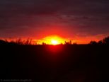 2006.11.04-sonnenau-027.jpg