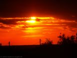 2006.11.04-sonnenau-030.jpg