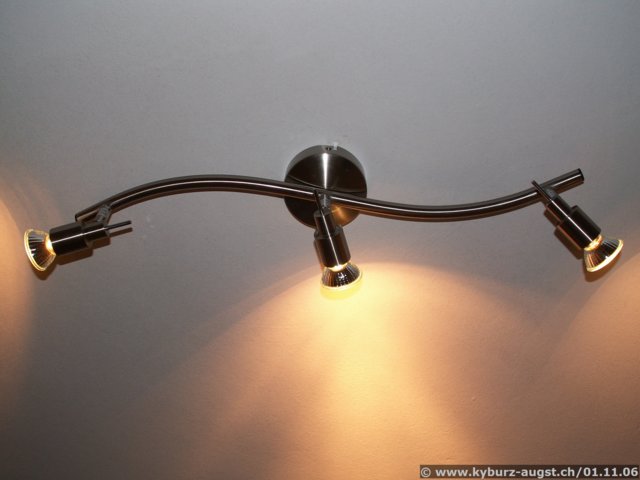2006.11.01-wzimmer-006.jpg
