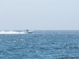 2007.05.13-bootrace-004.jpg