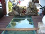 2007.05.13-nissaki-017.jpg