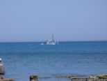 2007.05.14-nissaki-002.jpg