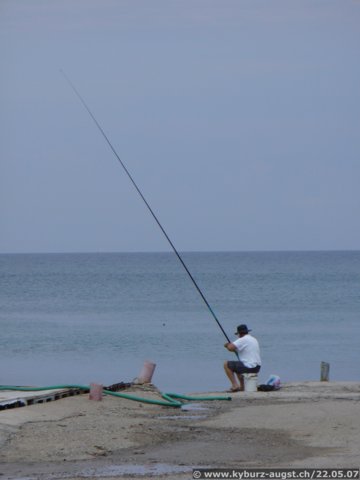 2007.05.22-nissaki-006.jpg