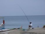 2007.05.22-nissaki-005.jpg