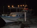 2007.05.23-nissaki-001.jpg