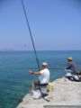 2007.05.24-nissaki-002.jpg