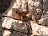 2007.06.03-kolymbia-001.jpg