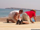 2007.06.13-aufbau-023.jpg