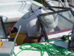 2007.05.17-wsport-003.jpg