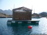 2007.05.17-wsport-005.jpg