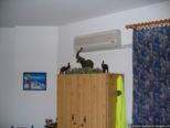 2007.05.28-wohnung-009.jpg
