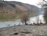 2007.12.29-kobern-023.jpg