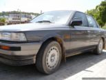 2008.05.14-rhodos-psinthos-11.jpg