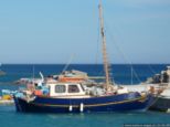 2008.05.23-rhodos-monachus-1.jpg