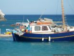 2008.05.23-rhodos-monachus-2.jpg