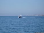 2008.05.24-rhodos-strand-54.jpg