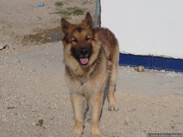 2008.05.26-rhodos-strand-25.jpg
