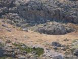 2008.06.01-rhodos-strand-62.jpg