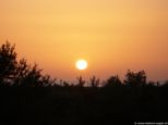 2008.11.01-sonnenaufgang-03.jpg