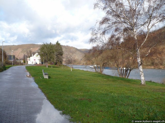 2008.11.21-koberngondorf-26.jpg
