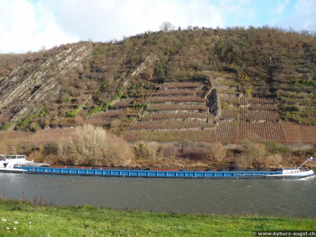 2008.11.21-koberngondorf-29.jpg