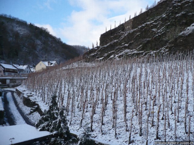 2008.11.22-koberngondorf-01.jpg