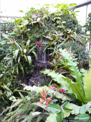 2008.11.23-koberngondorf-015.jpg