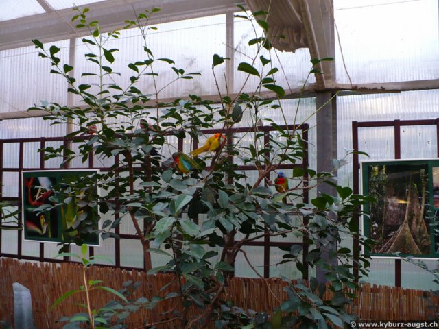2008.11.23-koberngondorf-021.jpg